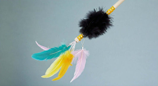 Colorful feather wand cat toy with black, yellow, blue, and pink feathers on a stick for feline entertainment and enrichment.