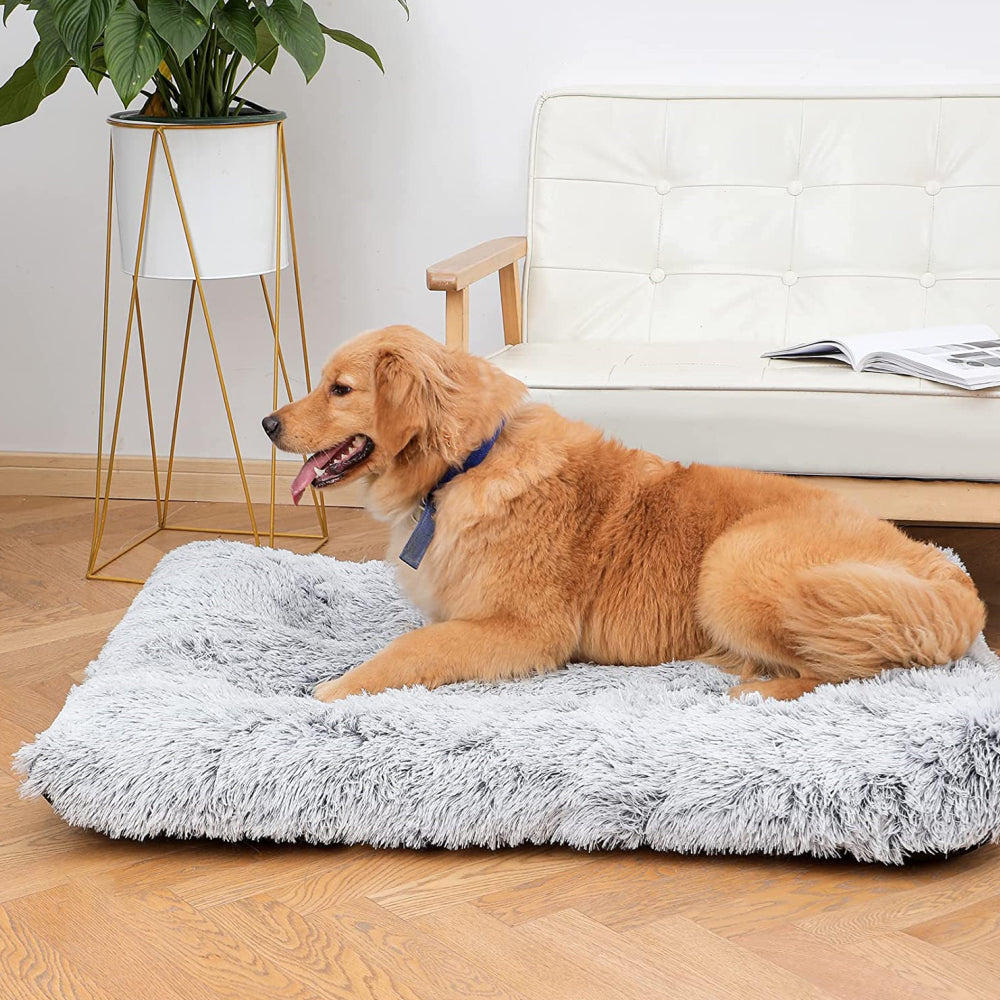 PETSWOL Plush and Cozy Pet Mat for Ultimate Comfort and Warmth-Light Grey