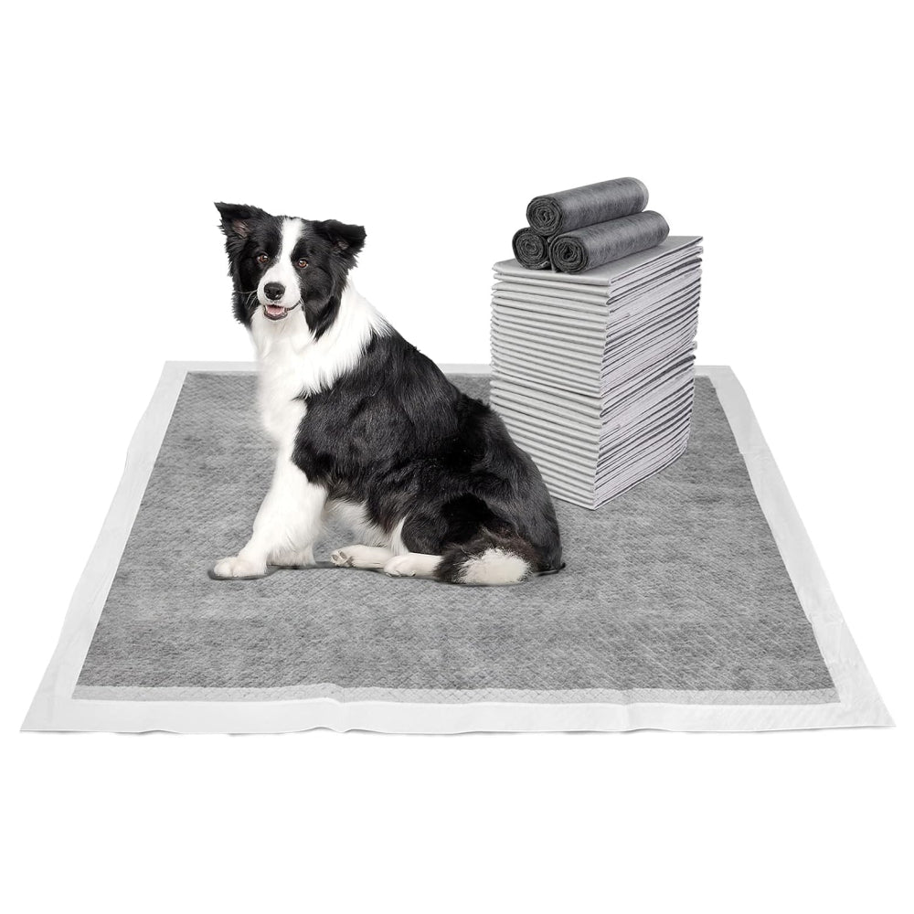 PETSWOL 100/50/40/20 Pack Disposable Dog Training Pads