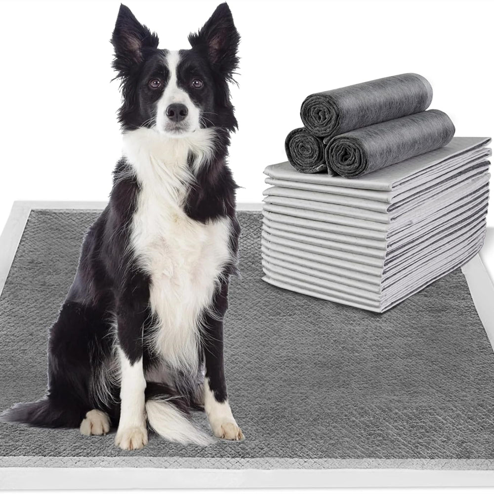 PETSWOL 100/50/40/20 Pack Disposable Dog Training Pads