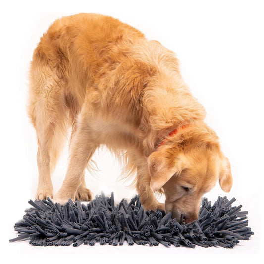 PETSWOL Dog Snuffle Mat - Premium Interactive Toy For Calm And Happy Pups