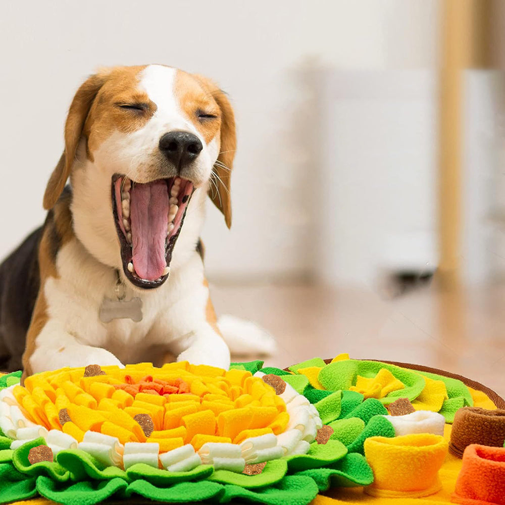 PETSWOL Pet Snuffle Mat With Puzzle For Dogs