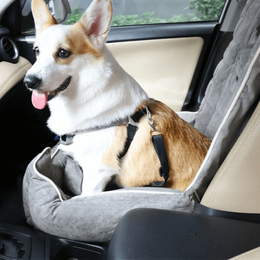 Anti-Slip Pet Booster Seat with Storage Pockets and Safety Leash_4