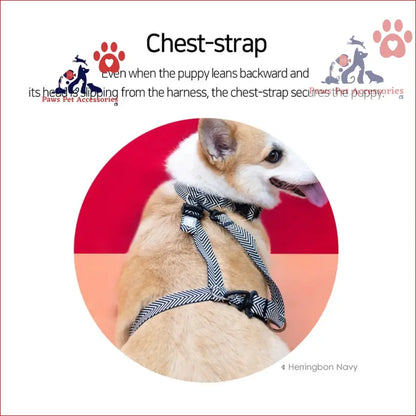 Cream puppy in gray checkered double-lined straps harness, perfect for stylish walks