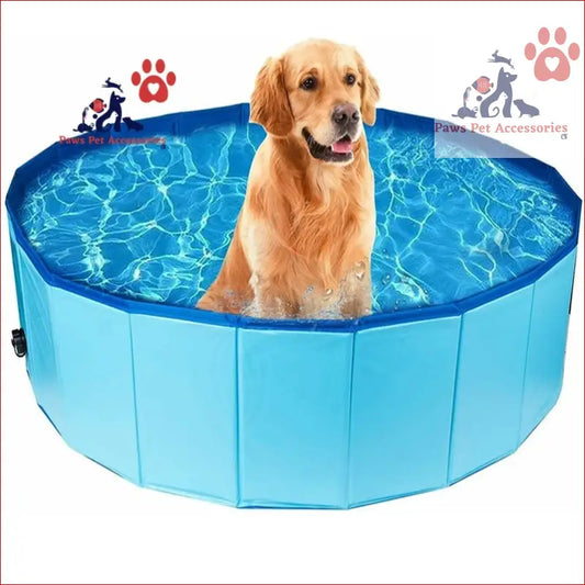 Golden Retriever enjoying a collapsible outdoor bathing pool in blue