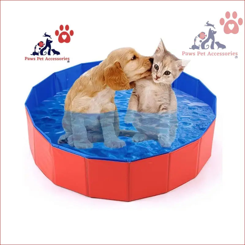 Red and blue collapsible outdoor bathing pool for pets, perfect for fun at the beach!