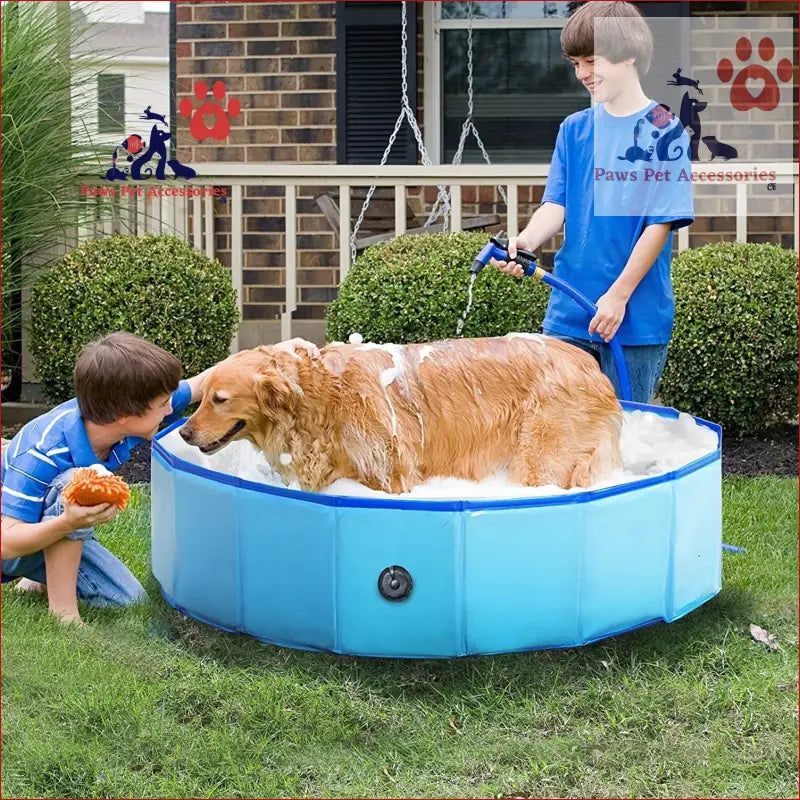 Happy Golden Retriever enjoying a Portable Blue Collapsible Outdoor Bathing Pool