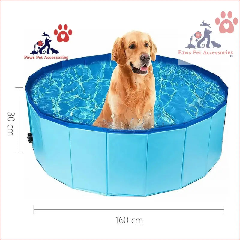 Golden Retriever relaxing in a blue collapsible outdoor bathing pool for pets