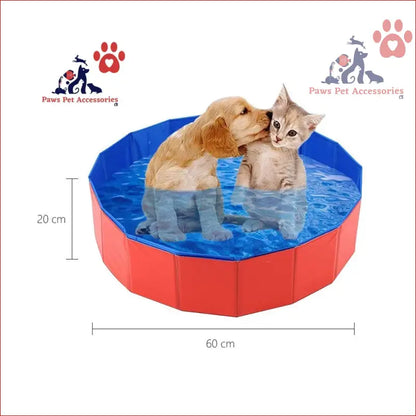 Foldable red and blue pet swimming pool with a dog and cat in a collapsible outdoor bathing pool