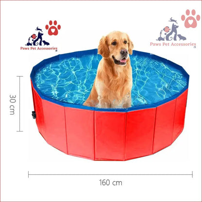 Red collapsible outdoor bathing pool with a Golden Retriever enjoying playtime