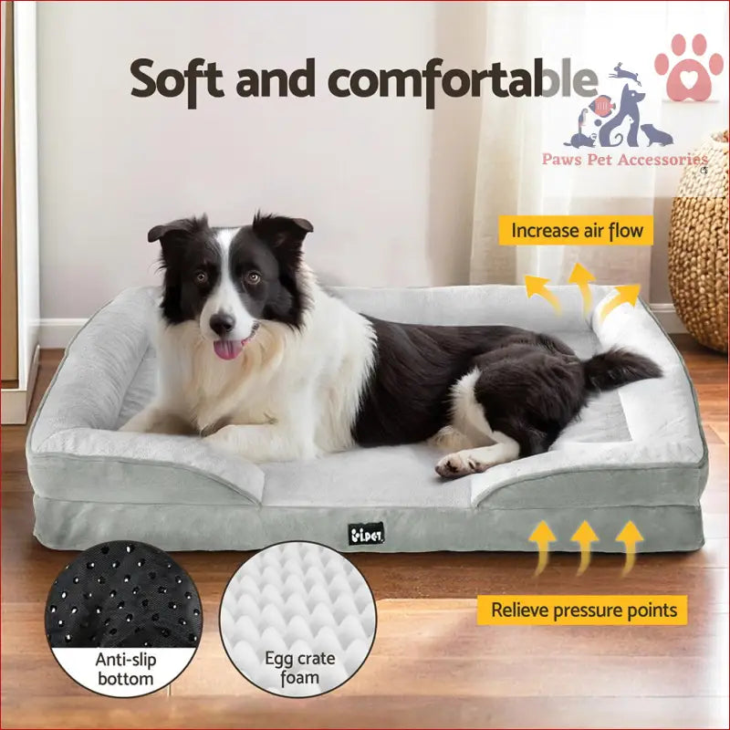 Black and white Border Collie on a gray calming soft cushion pet bed dog for ultimate comfort