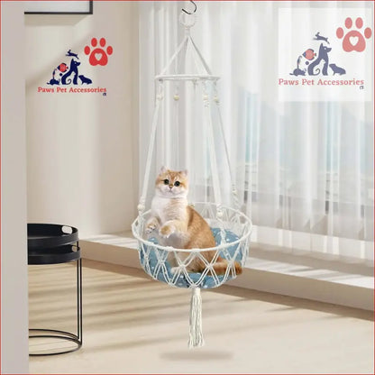 Cream-colored cat lounging in a cozy macrame cat hammock swing for ultimate relaxation