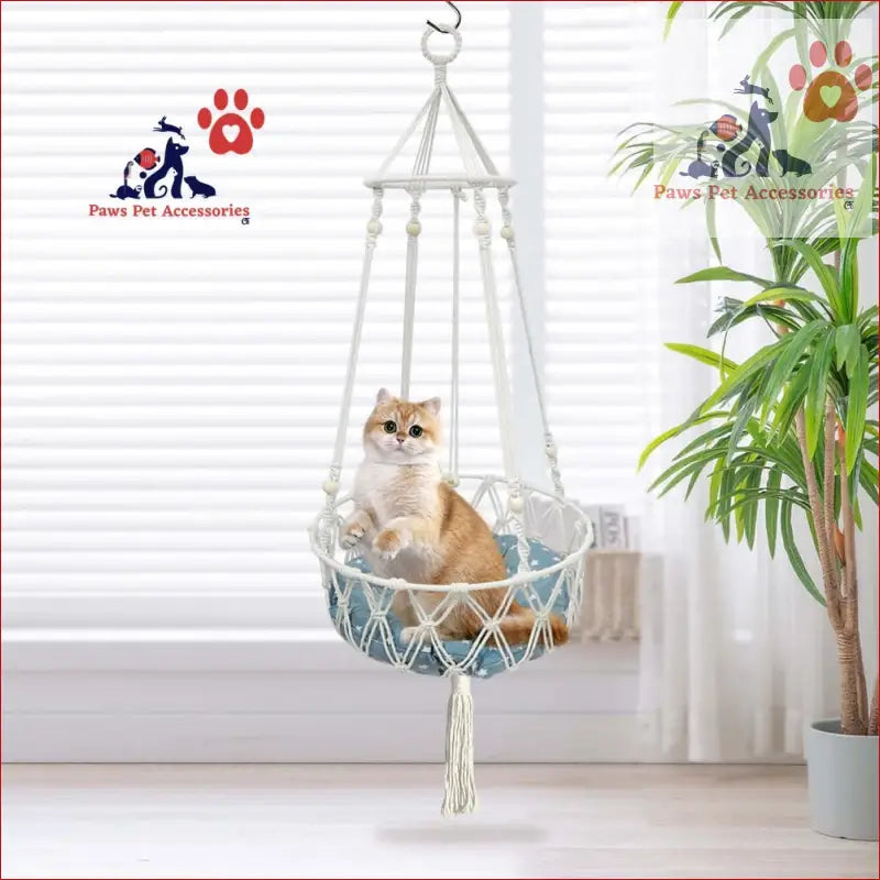 Cream-colored cat relaxing in a boho cat swing, perfect macrame cat hammock vibes