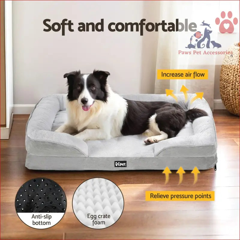 Border Collie relaxing on a gray egg crate cushion dog bed with anti-slip base