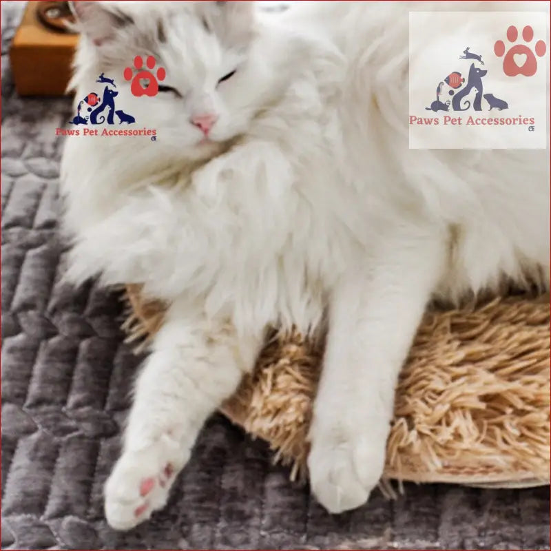 White fluffy cat lounging on a heated pet bed with a cozy texture for energy saving comfort