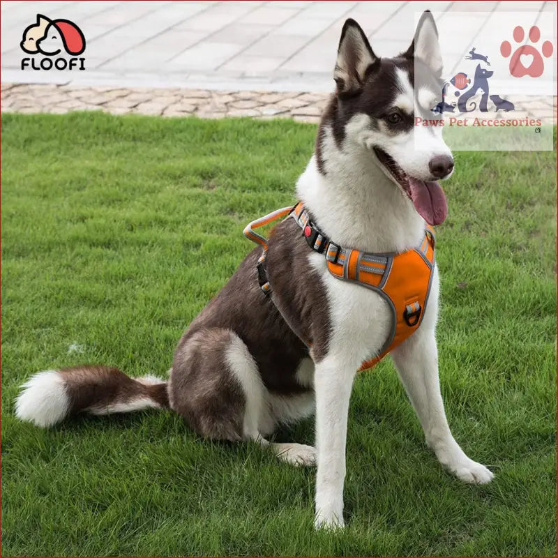 Husky in a Floofi Dog Harness sitting on grass, showing off this stylish dog harness vest