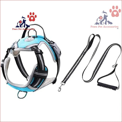 Light blue and gray Floofi Dog Harness vest with adjustable straps and leash attachments