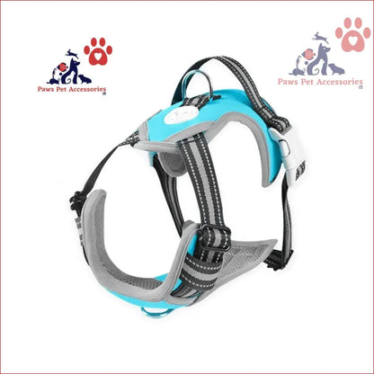 Turquoise and gray FLOOFI Dog Harness vest with adjustable straps and reflective trim