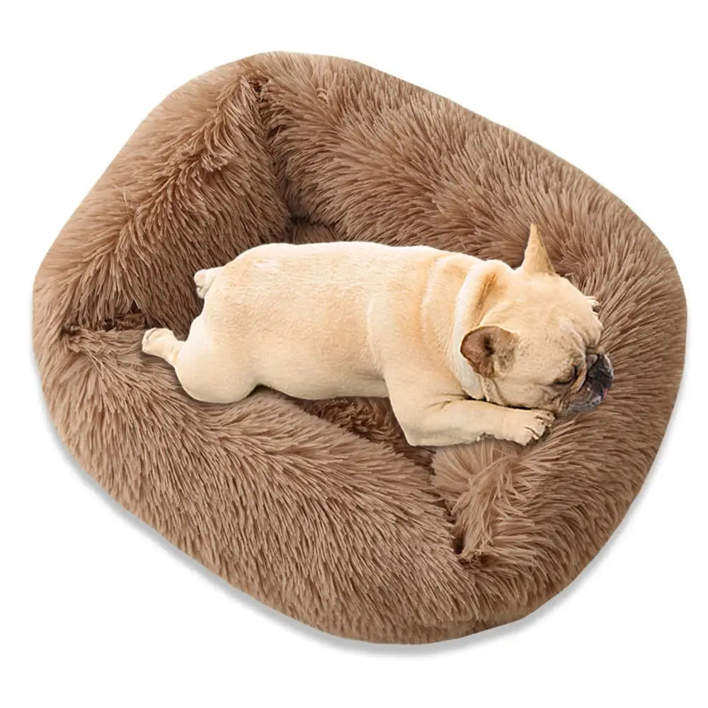 Square Dog Bed Long Plush Solid Color Pet Beds for Little Medium Large Pets Super Soft Winter Warm Sleeping Mats Dogs