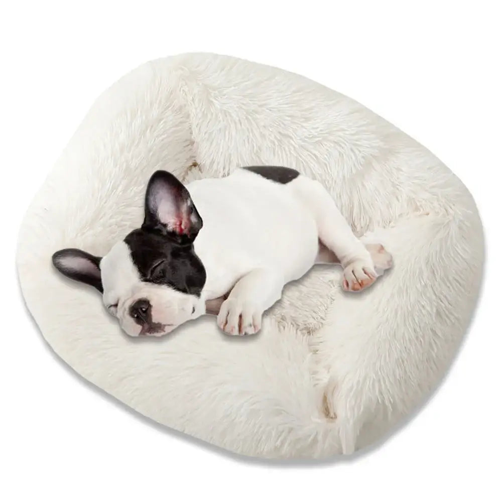 Square Dog Bed Long Plush Solid Color Pet Beds for Little Medium Large Pets Super Soft Winter Warm Sleeping Mats Dogs