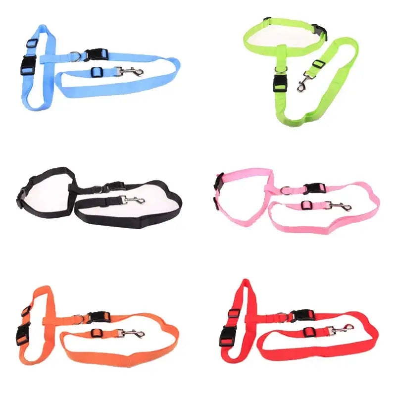 Attractive Traction Pulling Leash Pet Dog Running Jogging Convenient Safe Fashional Goods for Pets