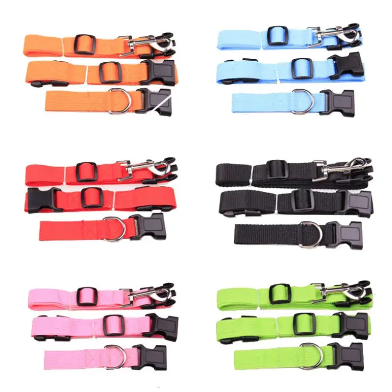 Attractive Traction Pulling Leash Pet Dog Running Jogging Convenient Safe Fashional Goods for Pets