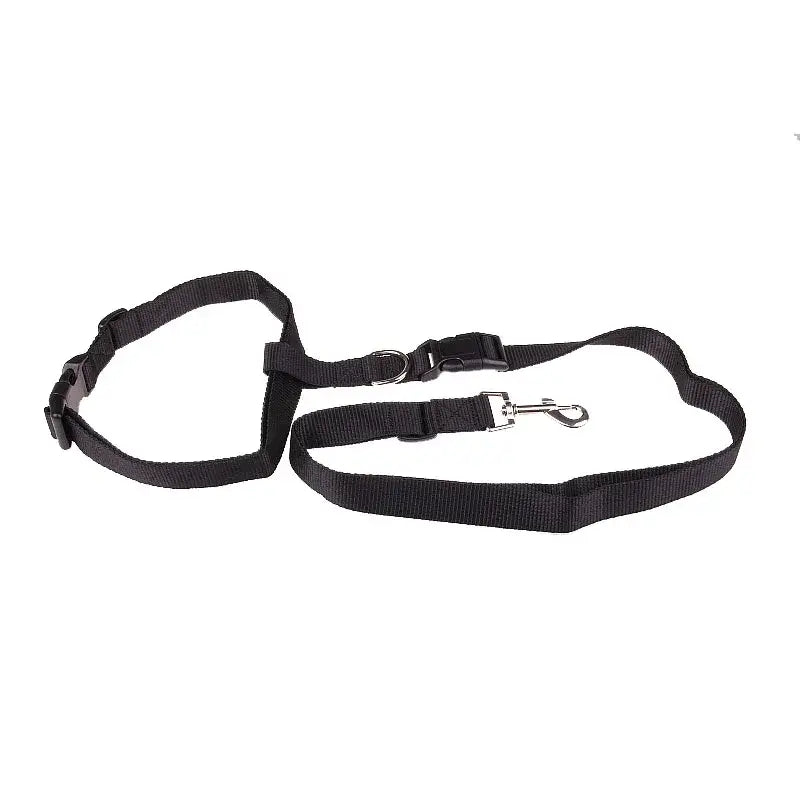 Attractive Traction Pulling Leash Pet Dog Running Jogging Convenient Safe Fashional Goods for Pets