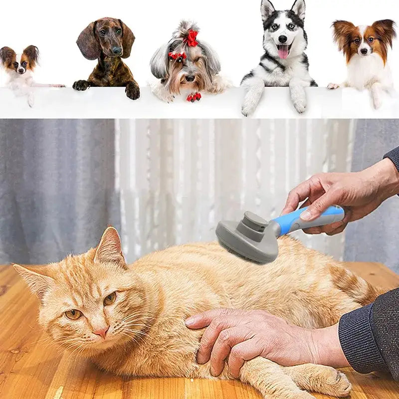 Pets Grooming Brush for Dog Long Hair Removes Pet Cat Shedding Comb Puppy Slicker