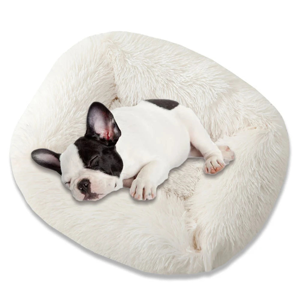 Square Dog Bed Long Plush Solid Color Pet Beds For Little Medium Large Pets Super Soft Winter Warm Sleeping Mats For Dogs Cats