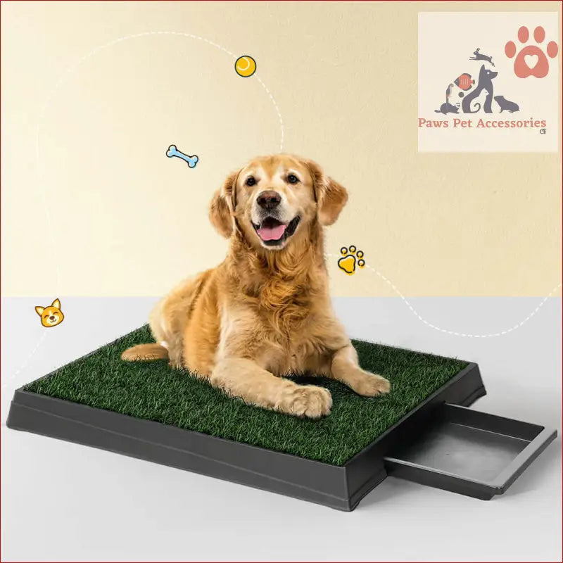 Indoor dog potty pad with grass on plastic tray for easy dog toilet training