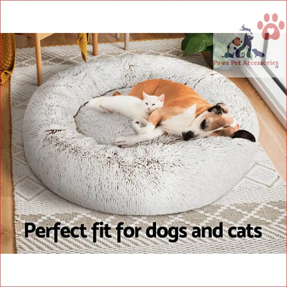 Calico cat on a soft plush white pet bed dog, large calming and cozy for pets