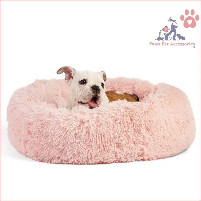 White French Bulldog puppy lounging in a washable calming donut pet bed