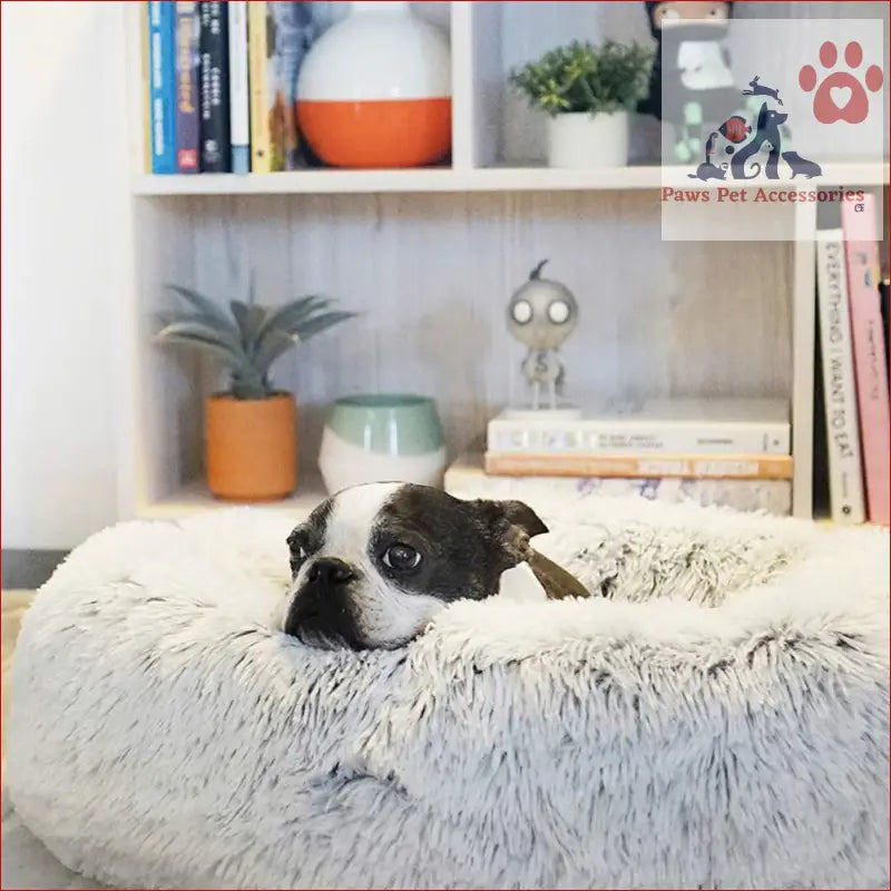 Black and white dog chilling on a fluffy cushion in a Machine Washable Calming Donut Pet Bed