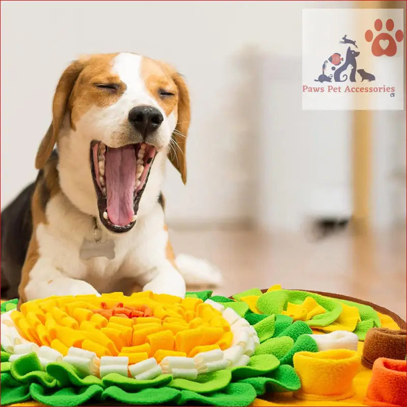 Yawning beagle with colorful PETSWOL Pet Snuffle Mat, perfect for paws pet accessories