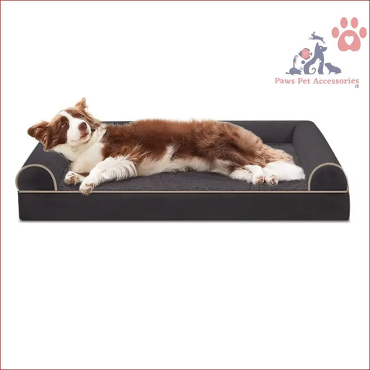 Brown and white dog relaxing on PETSWOL Curved Design Four Seasons Pet Sofa Bed