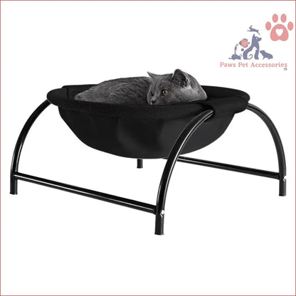 Gray cat chilling in a PETSWOL Elevated Cat Bed hammock with sleek metal frame