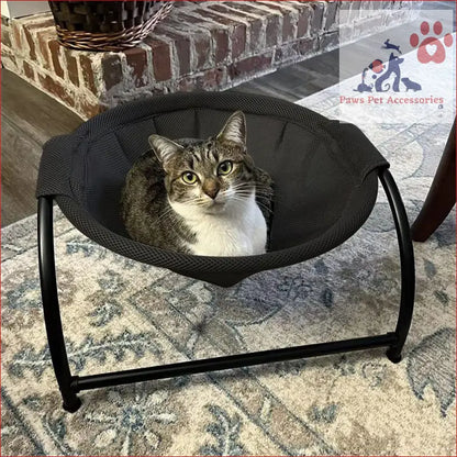 Gray and white tabby cat relaxing in PETSWOL elevated cat bed hammock