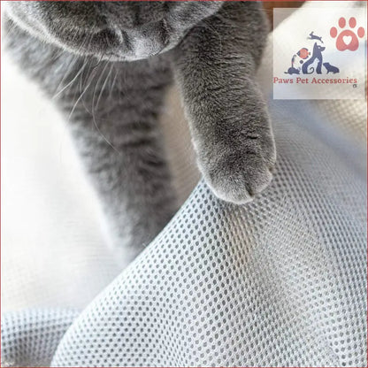 Grey cat paw on cozy fabric of PETSWOL Elevated Cat Bed Hammock Bed