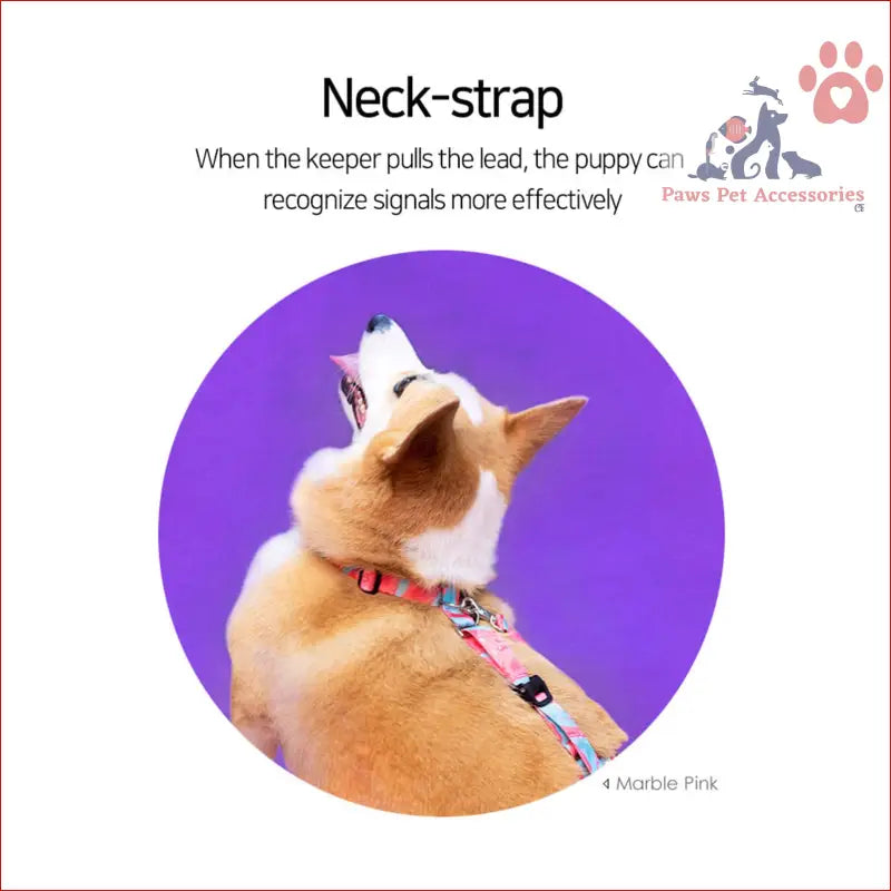 Tan puppy in a colorful neck strap, showcasing Dog Double-Lined Straps Harness Adjustable