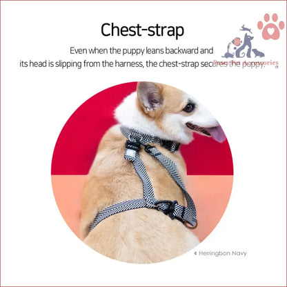 Cream puppy in navy striped chest harness for Dog Double-Lined Straps Harness Adjustable