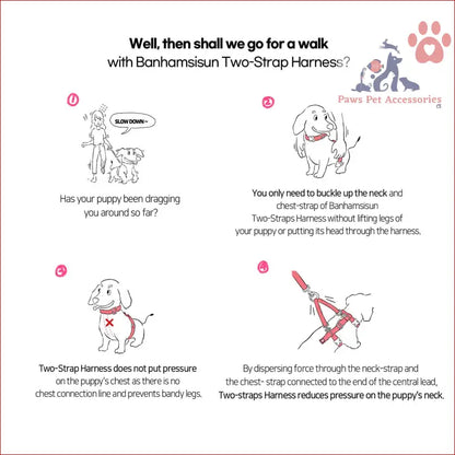 Instructional diagram of Dog Double-Lined Straps Harness with adjustable features