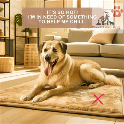 Happy dog on a beige rug enjoying the Pet Dog Cooling Mat Non-Slip Travel Roll Up Cool Pad Bed Outdoor M PINK