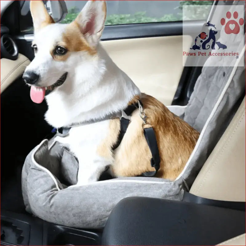 White and tan dog enjoying the Anti-Slip Pet Booster Seat with safety leash and storage