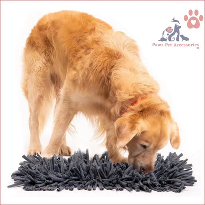 Golden Retriever sniffing a dark gray shag rug on PETSWOL Dog Snuffle Mat premium toy