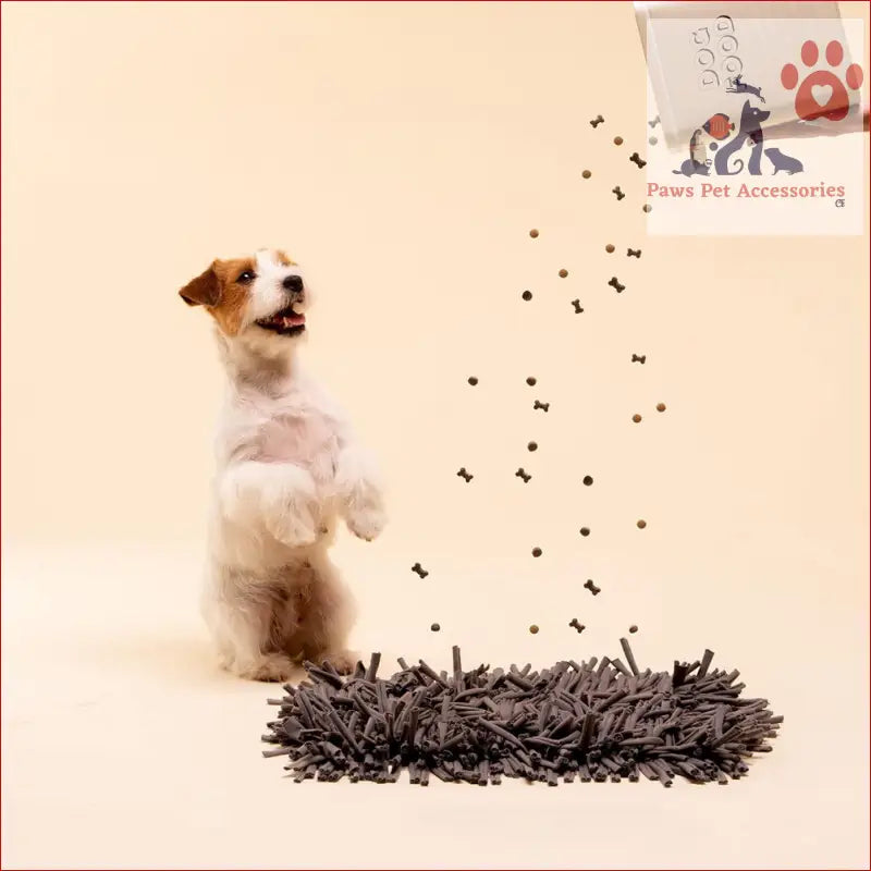 Jack Russell Terrier on hind legs with black confetti near PETSWOL Dog Snuffle Mat