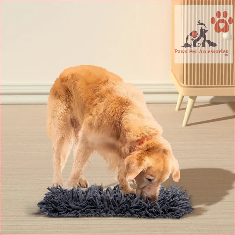 Golden Retriever sniffing a dark gray shag rug with PETSWOL Dog Snuffle Mat toy