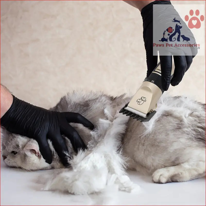 Cat getting groomed with Pet Clippers Professional Electric Pet Hair Shaver and gloves