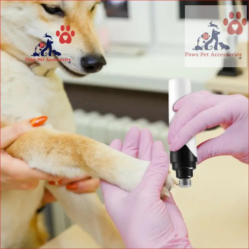 Veterinarian trimming dog’s nails with a rechargeable automatic nail polisher grinder