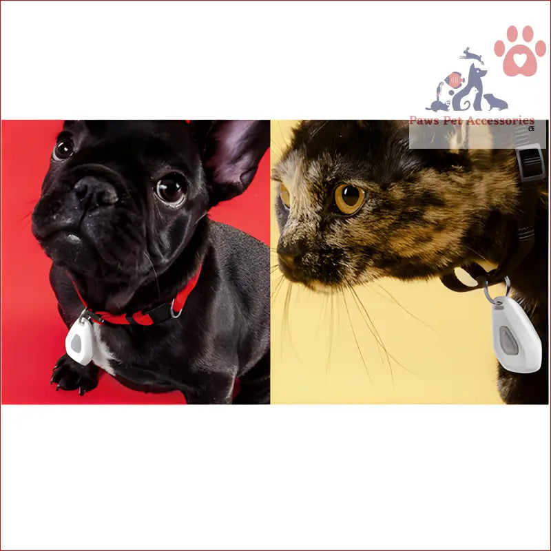 Split photo of a black French Bulldog and a tortoiseshell cat with Mitey Tick Off Electronic Tick Repeller