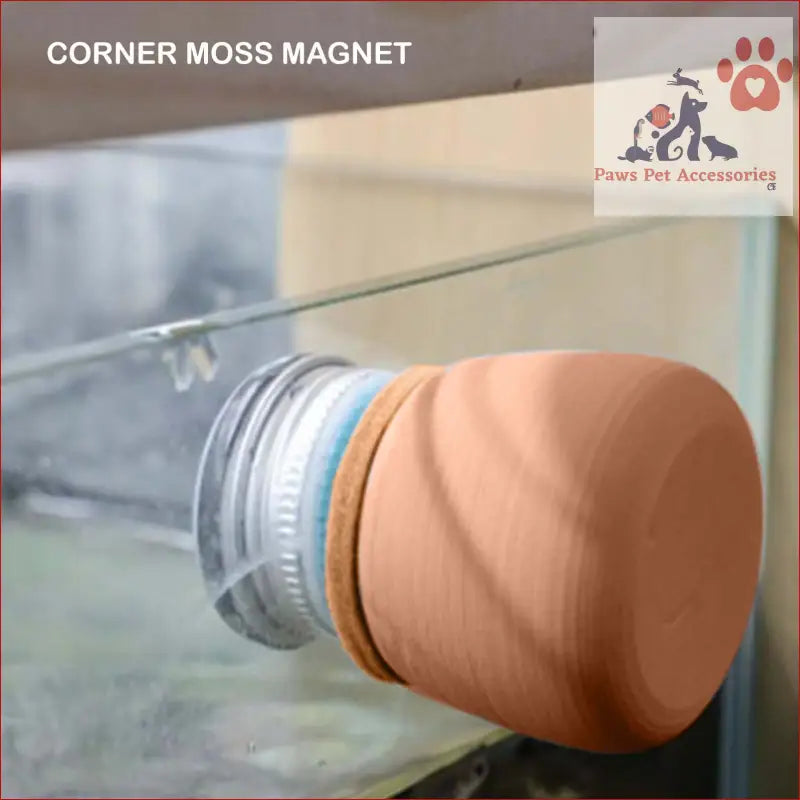 Terracotta corner moss magnet attached to glass for easy algae cleaning in fish tanks